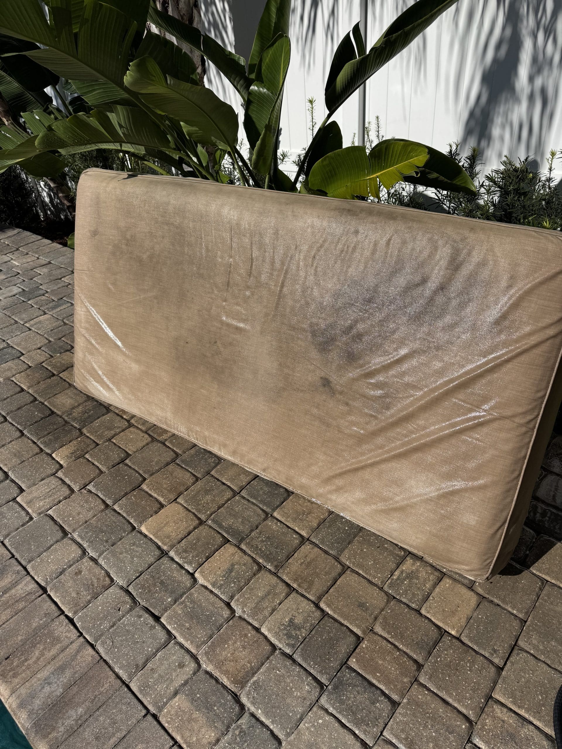 Before picture of mold & mildew patio cushion before POFL Cleaner was applied